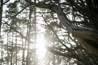 Tyler Vu Photography - 17