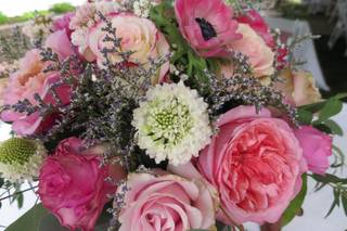 Flowers on Mulberry - 8