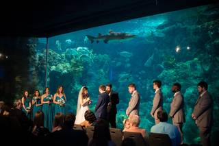 The Florida Aquarium - 35