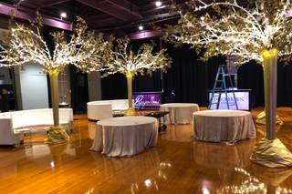 Expo Events & Tents - 1
