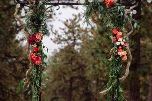 Poppy and pine - 6