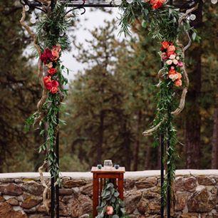 Poppy and pine - 2