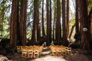 Picturist Photography - 11