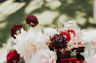 Twisted Twig Fine Florals - 50