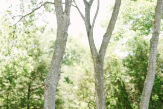 Savannah Peterson Photography - 7