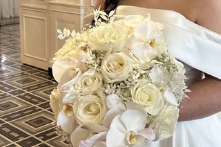 Carolina Roses - 58