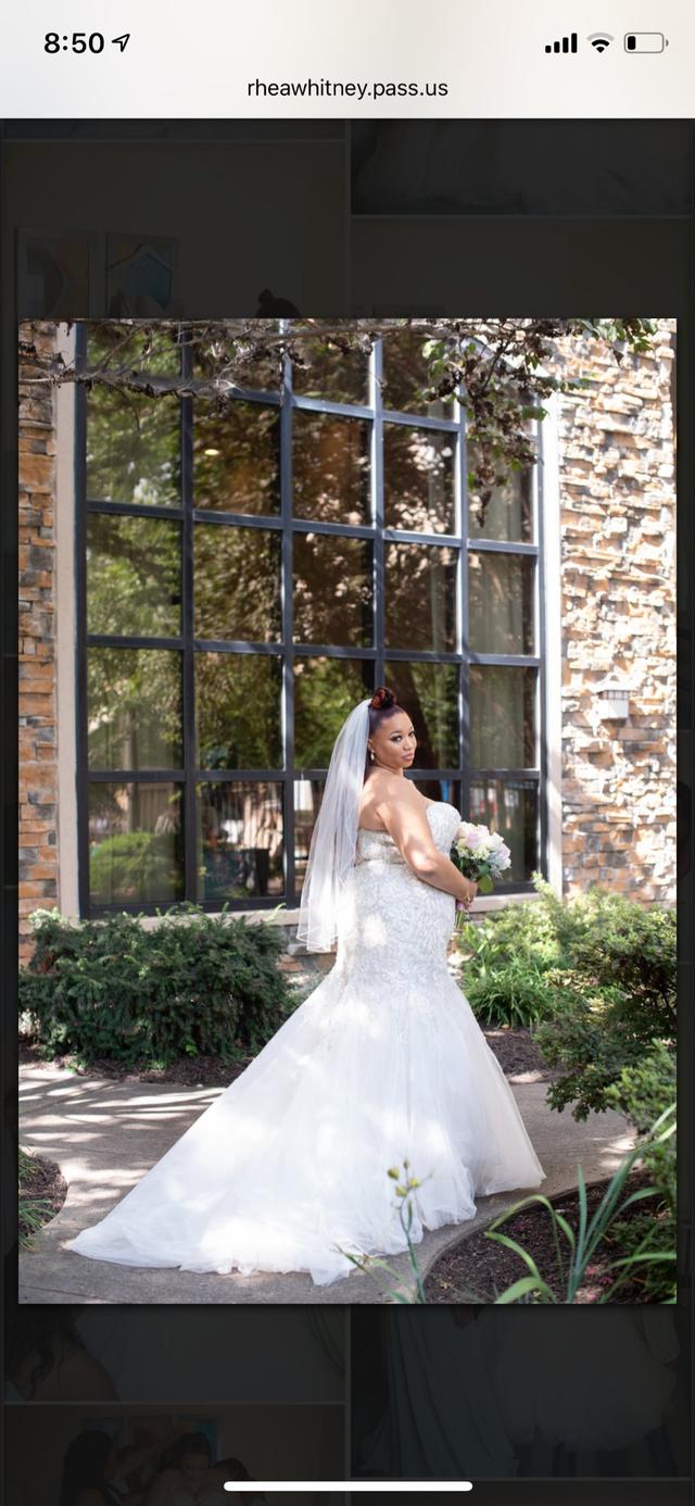 Rhea Whitney Photography - 2