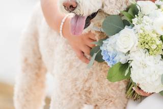 Lauren Dobish Photography - 12