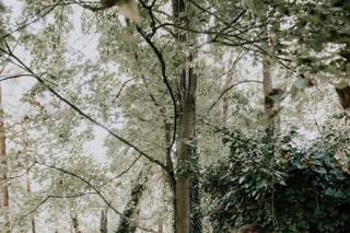 Allisha Linnea' Photography - 27