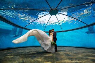 Rogue Images Photography - 23