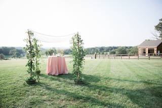 Rabbi Vanessa Ochs, wedding officiant - 1
