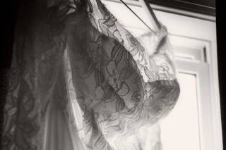 Oak City Photography - 17