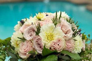 David Volkmann Photography - 7