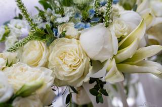 Flowers From the Farm, NJ - 25