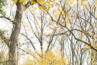 McKenzie Elizabeth Photography - 32
