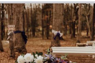 Starlight Meadow - 29