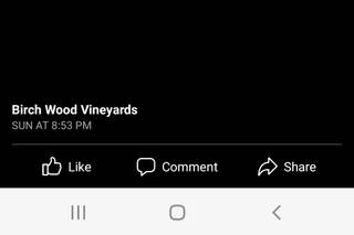Birch Wood Vineyards by Wedgewood Weddings - 44