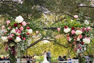 The Orchard at Caney Creek - 42