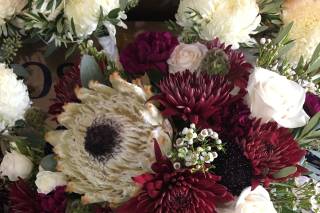 Fairfield Flowers - 85