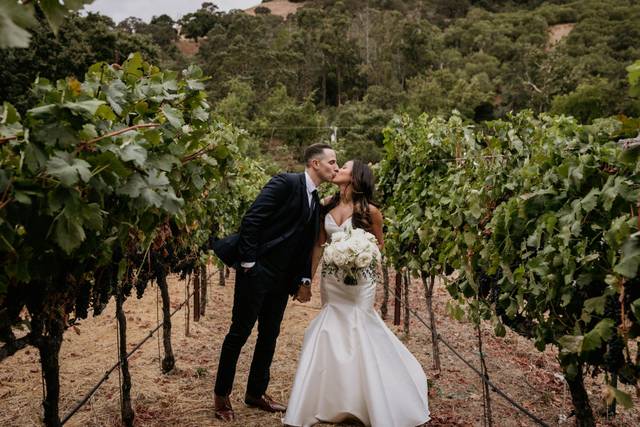 Elliston Vineyards 2