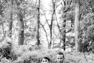 Steven Dray Photography - 61