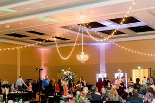 Dream Lighting Company - 21