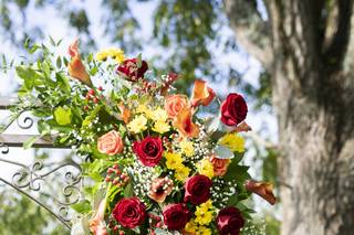 Petal Burst Designs - 29
