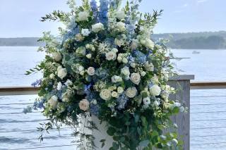 Salvy the Florist - 7