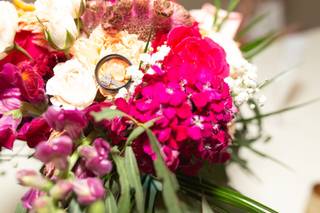 Carol Selvy Photography - 11
