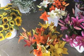 Art Farm Flowers - 20