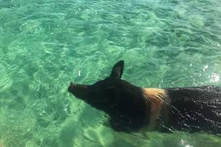 Beach Bum Vacations - 15