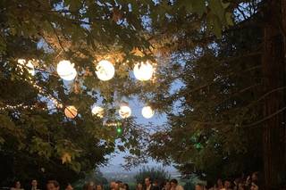 Orchard Avenue Events - 33