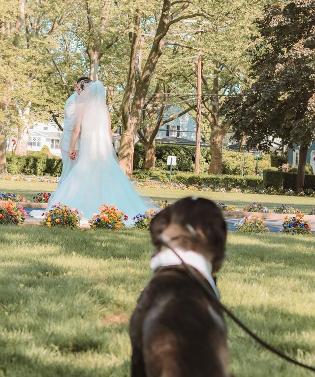 Happy Bark & Tails - 4