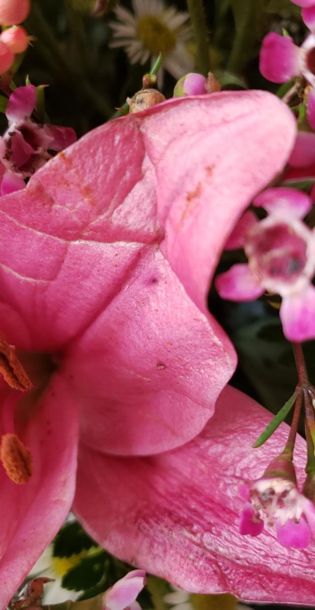 Park Square Florist - 3