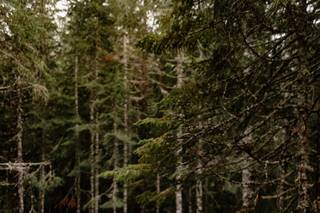 Hannah Brooke Photography - 6