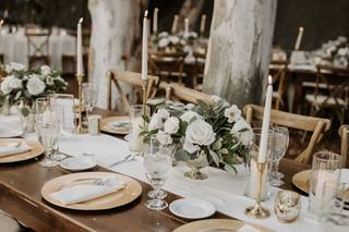 Lovely Peonies - 109