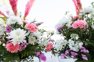 JC95 Photography - 7
