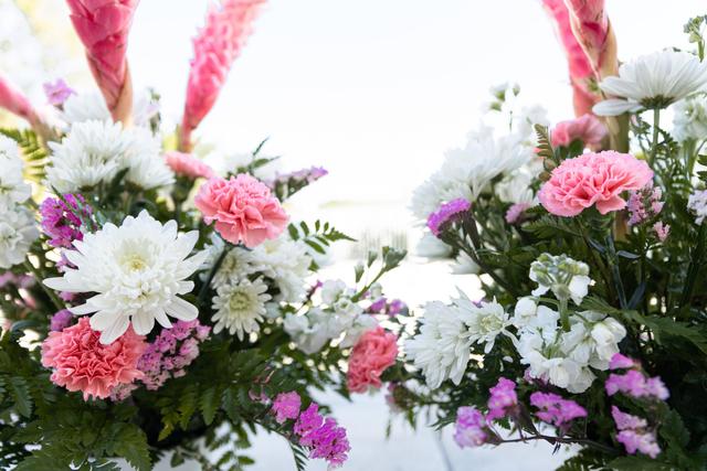JC95 Photography - 3