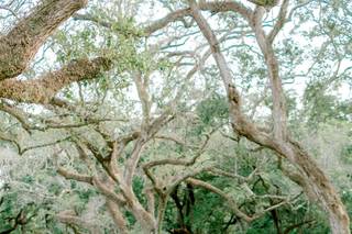 The Springs in Angleton - 43