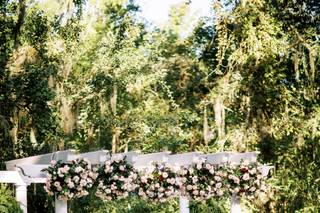 Ivory and Beau - 113