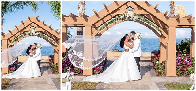 Janelle Jaqueline Photography - 1