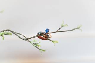 Christina Bingham Photography - 29