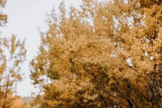 Jmark Photography - 28