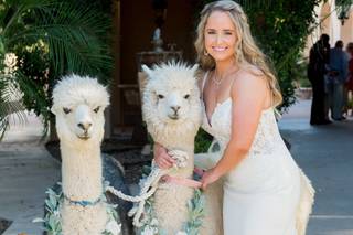 Secret Garden by Wedgewood Weddings - 29