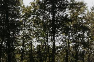 Zephyr Lodge - 6
