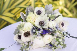 Dianthus Miami Inc. - 6