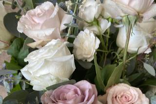 Lovely Peonies - 94