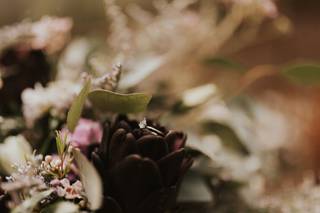 Hannah Brooke Photography - 19