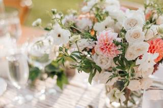 Orpha Events - 34