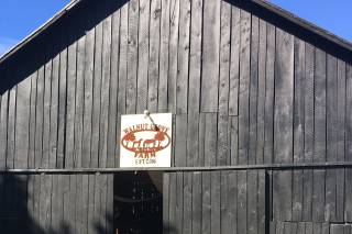 Walnut Grove Farm & Lodge - 16